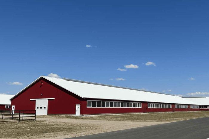 Проект животноводческого комплекса в Самарской области прошел экспертизу